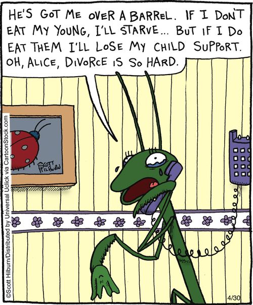 ',,,But if I do eat them I'll lose my child support, Oh, Alice,divorce is so hard,'