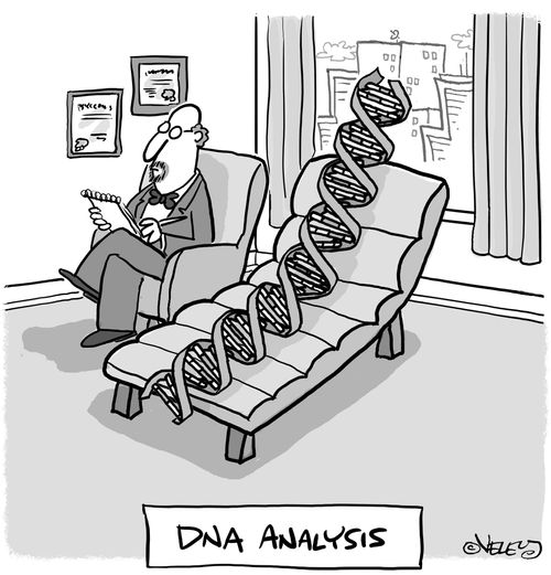 DNA Analysis.