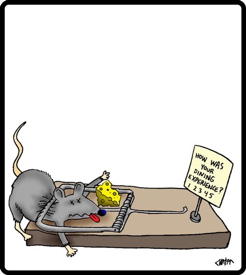 Mousetrap: 'How was your dining experience?'