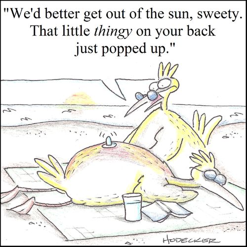 'We'd better get out of the sun, sweety. That little thingy on your back just popped up.'