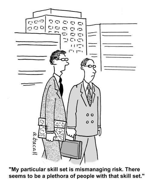 'My particular skill set is mismanaging risk. There seems to be a plethora of people with that skill set.'