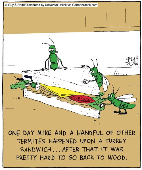 One day Mike and a handful of other termites happened upon a turkey sandwich,,, after that it was pretty hard to go back to wood,