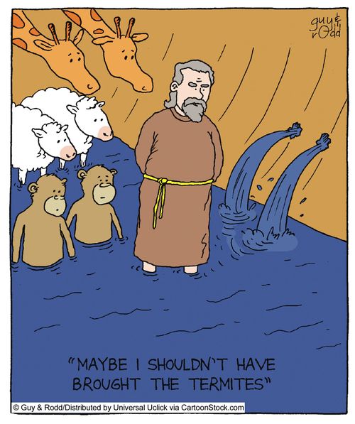 'Maybe I shouldn't have brought the termites,'