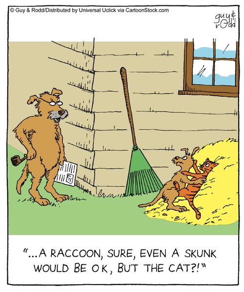 '... A raccoon, sure, even a skunk would be ok, but the cat?'