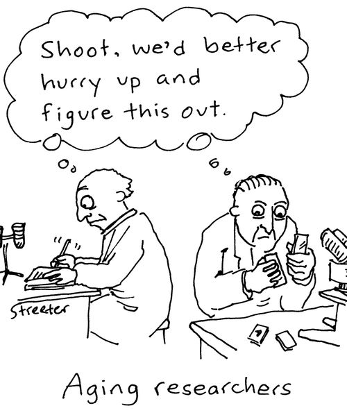 Aging Researchers