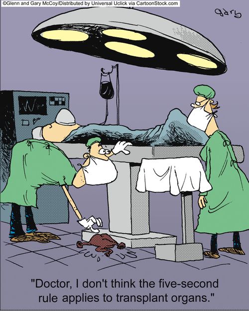 'Doctor, I don't think the five-second rule applies to transplant organs.'