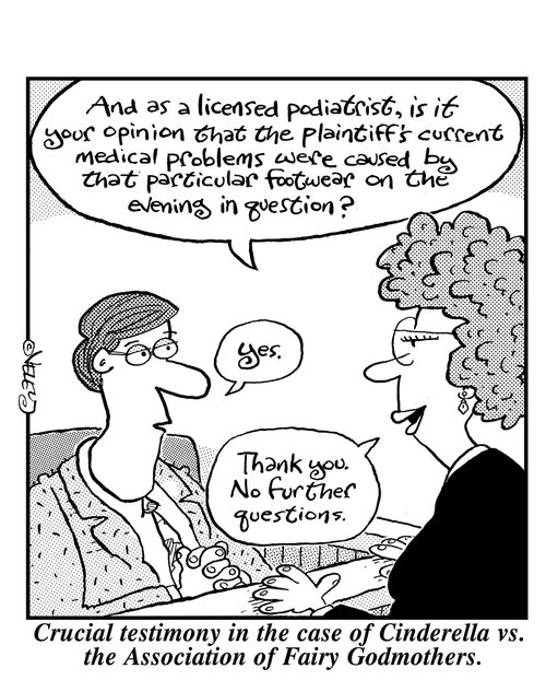 Crucial testimony in the case of Cinderella vs. the Association of Fairy Godmothers.