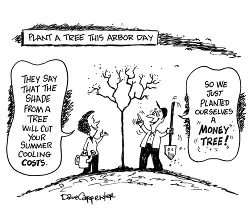 Arbor Day Money Tree