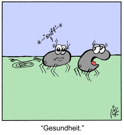 'Gesundheit.'