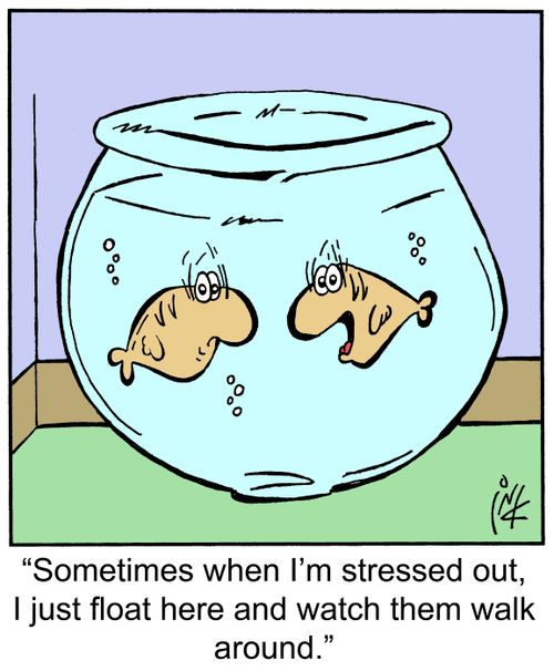 'Sometimes when I'm stressed out, I just float here and watch them walk around.'