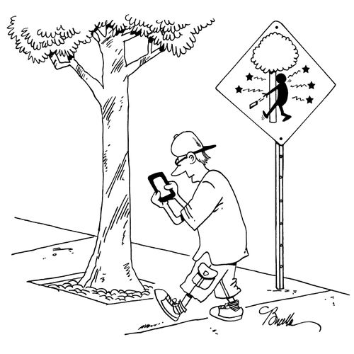 Warning Sign For Texters.