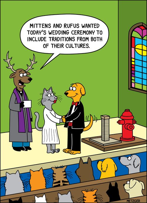 'Mittens and Rufus wanted today's wedding ceremony to include traditions from both of their cultures.'