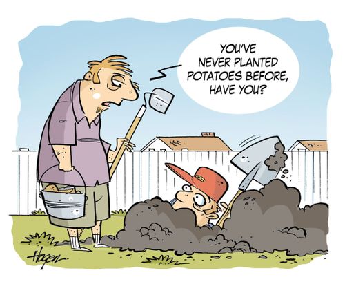 'You've never planted potatoes before, have you?'