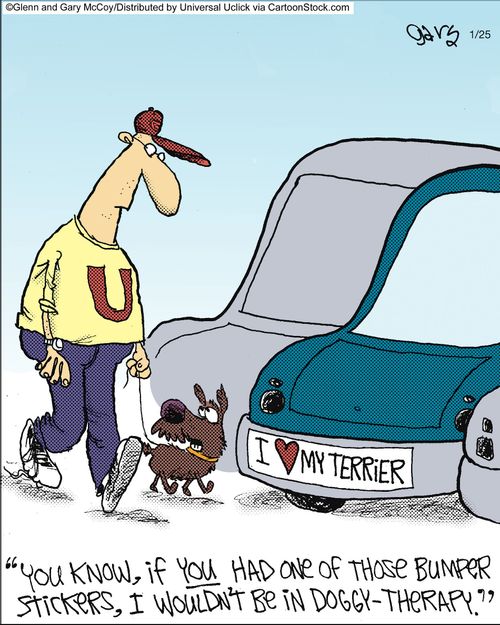'You know, if you had one of those bumper stickers, I wouldn't be in doggy-therapy.'