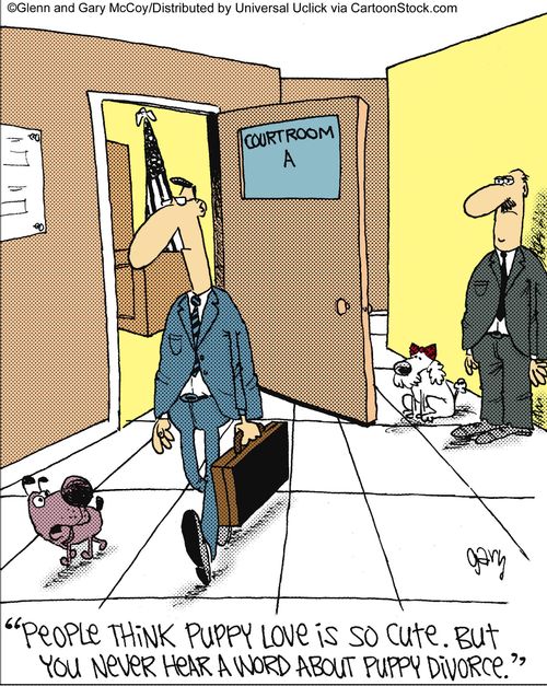 'People think puppy love is so cute. But you never hear a word about puppy divorce.'