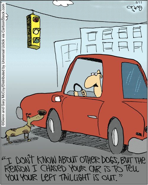'I don't know about other dogs, but the reason I chased your car is to tell you your left tail light is out.'