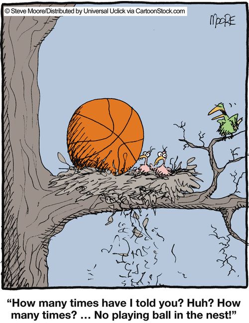 'How many times have I told you? Huh? How many times? ... No playing ball in the nest!'