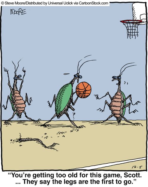 'You're getting too old for this game, Scott. ... They say the legs are the first to go.'
