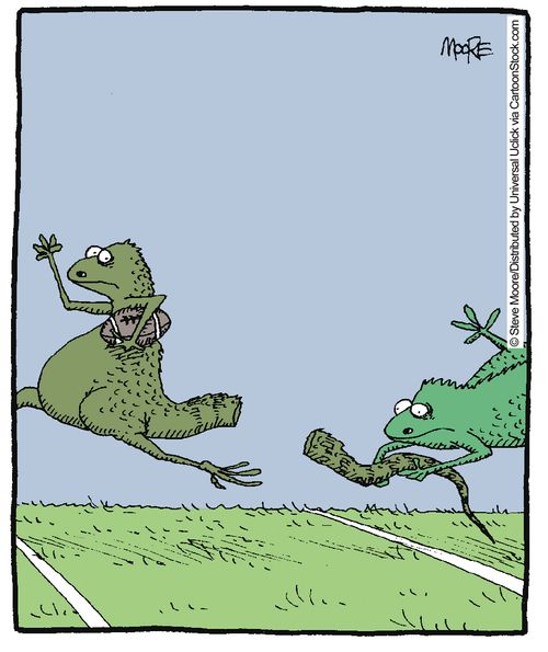 Lizard running with football.