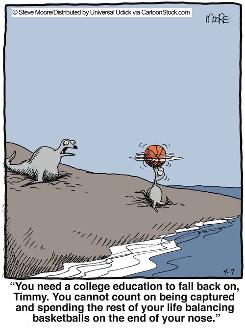 'You need a college education to fall back on, Timmy. You cannot count on being captured and spending the rest of your life balancing basketballs on the end of your nose.'