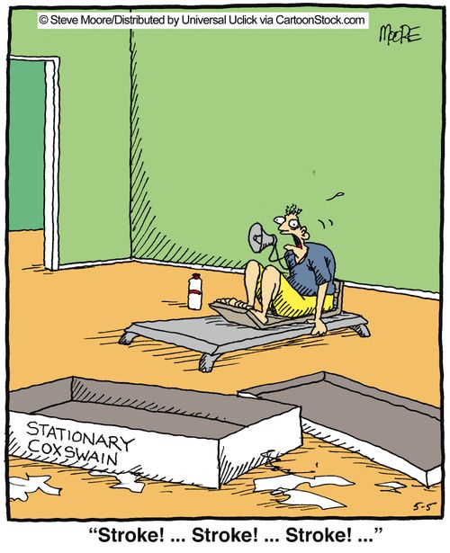 'Stroke! ... Stroke! ... Stroke!'