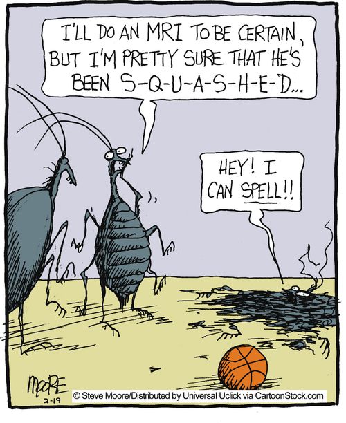 'I'm pretty sure he's been s-q-u-a-s-h-e-d...'