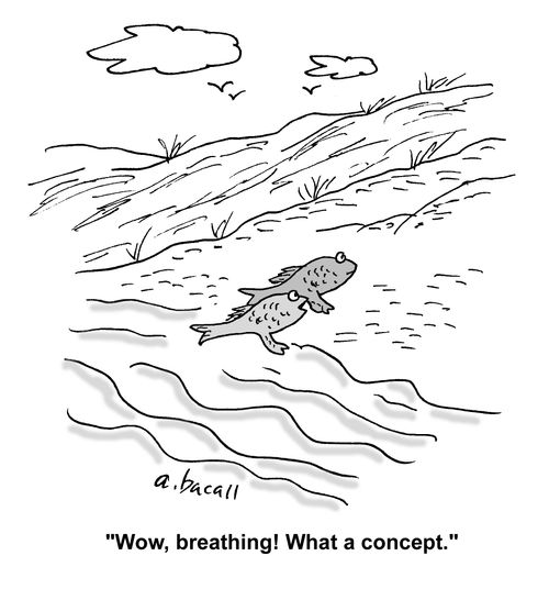 'Wow, breathing! What a concept.'