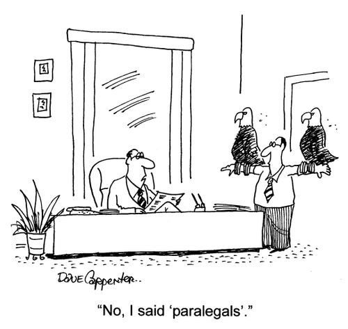 'No, I said 'paralegals'.'