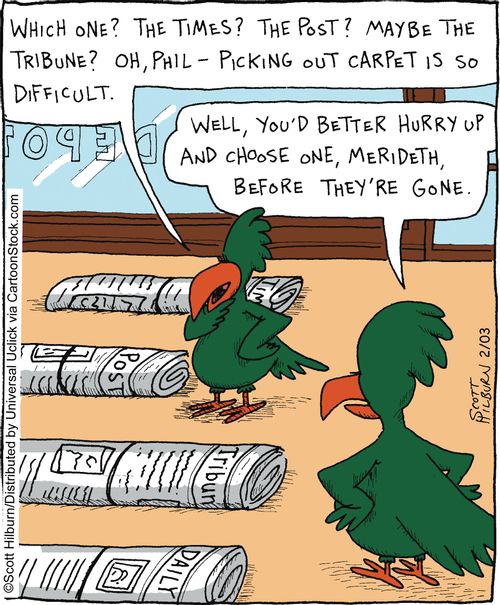 Which one? The Times? The Post? Maybe The Tribune? Oh, Phil - Picking out a carpet is so difficult.