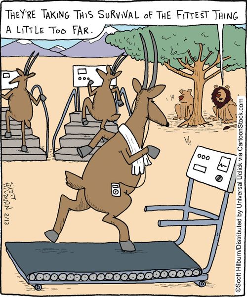 They're taking this survival of the fittest thing a little too far.