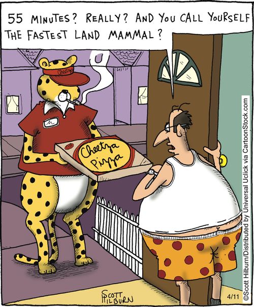 '55 minutes? Really? And you call yourself the fastest land mammal?'