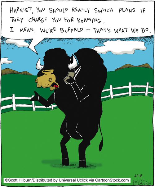 Harriet, you should really switch plans if they charge you for roaming. I mean, we're buffalo - that's what we do.