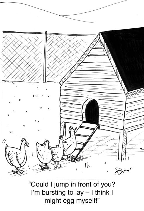 'Could I jump in front of you? I'm bursting to lay I think I might Egg myself.'