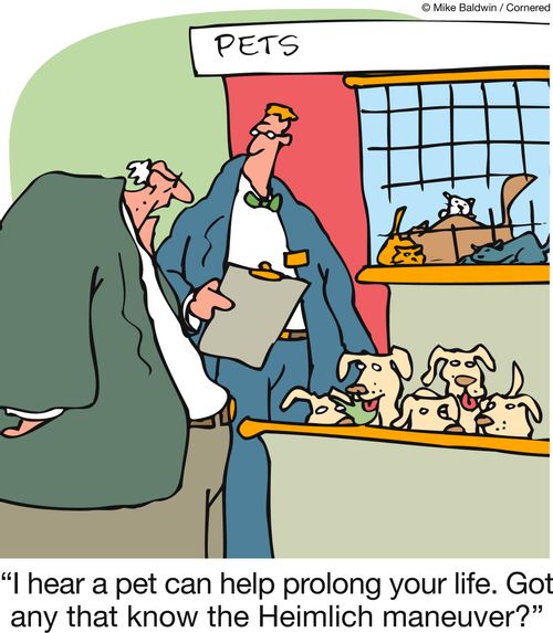 'I hear a pet can help prolong your life. Got any that know the Heimlich maneuver?'