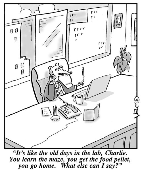'It's like the old days in the lab, Charlie. You learn the maze, you get the food pellet, you go home. What else can I say?'