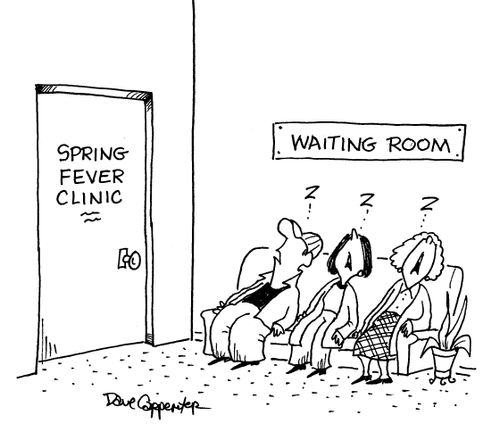Spring fever clinic