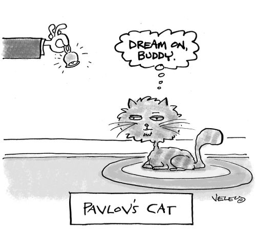 Pavlov's Cat: 'Dream on Buddy.'