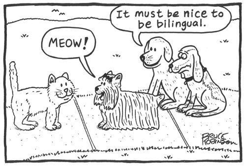 'It must be nice to be bilingual.'