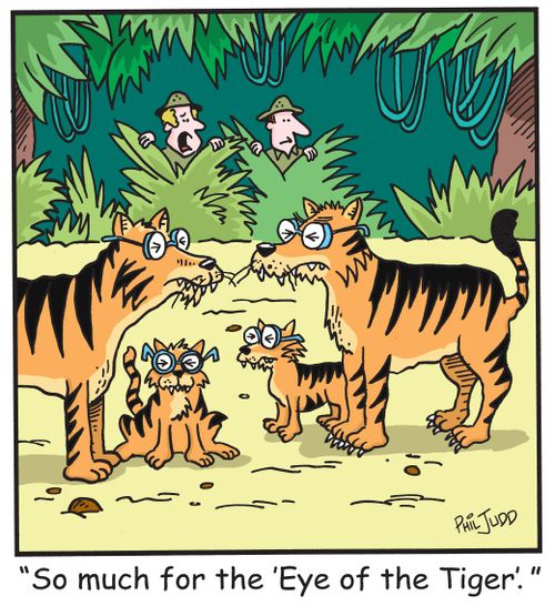 'So much for the 'Eye of the Tiger'.'