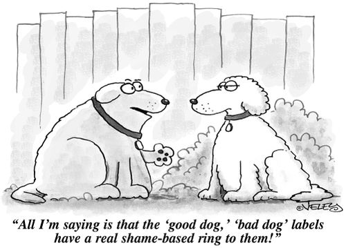 'All I'm saying is that the 'good dog' 'bad dog' labels have a real shame-based ring to them!'