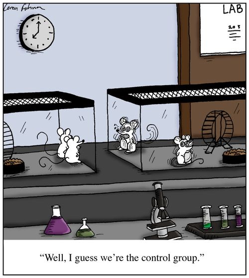 'Well, I guess we're the control group.'