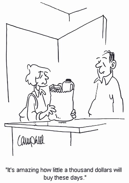 'It's amazing how little a thousand dollars will buy these days.'