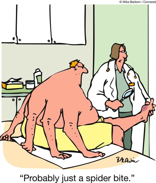 'Probably just a spider bite.'