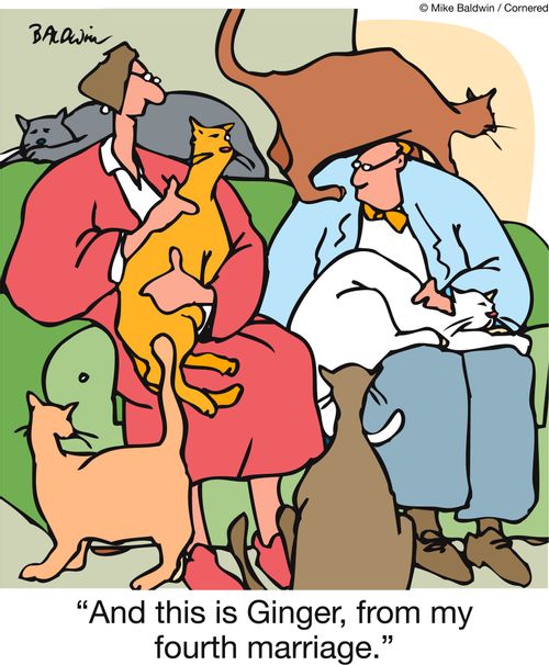 'And this is Ginger, from my fourth marriage.'