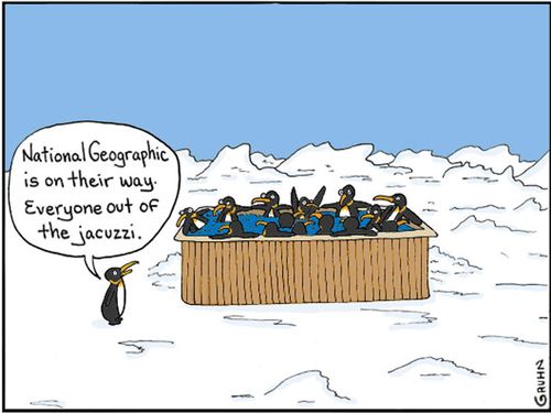 'National Geographic is on their way. Everyone out of the jacuzzi.'