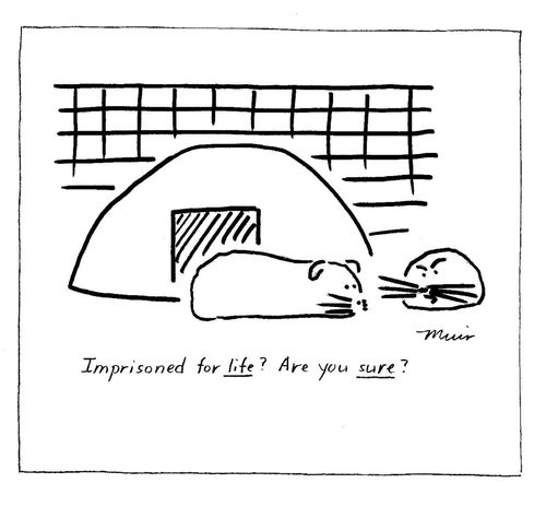 'Imprisoned for life? Are you sure?'