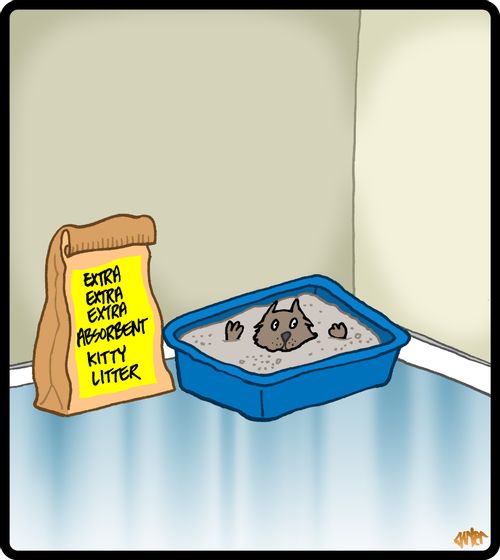 Extra Absorbent Kitty Litter.