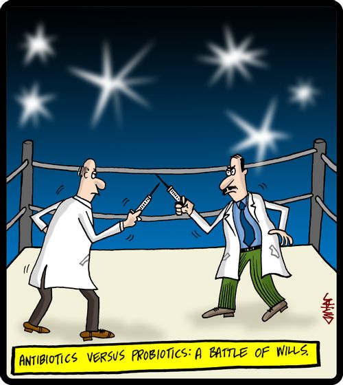 Antibiotics versus probiotics: A battle of wills.