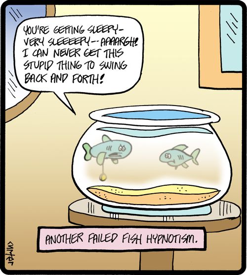 Another failed fish hypnotism.