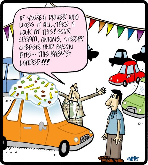 'If you're a driver who likes it all, take a look at this! Sour cream, onions, cheddar cheese, and bacon bits - this baby's loaded!!!'